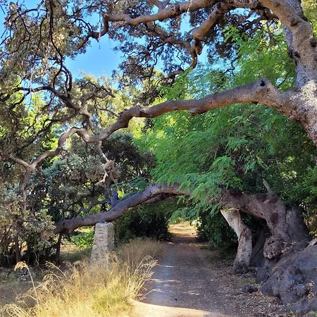 Casa En Rustica * Jijona